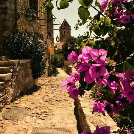 Sealine * Omiš